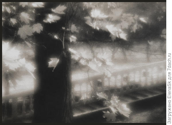 Это балясины на Каретных спучувх... Стол - старая липа, а листва - от хиленькой поросли клена на переднем плане, условное названия этого фото у меня - &quot;Липовый клен&quot;...