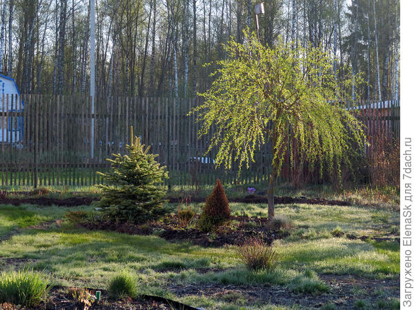 2018 год. Середина мая