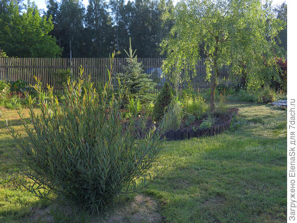 Середина лета