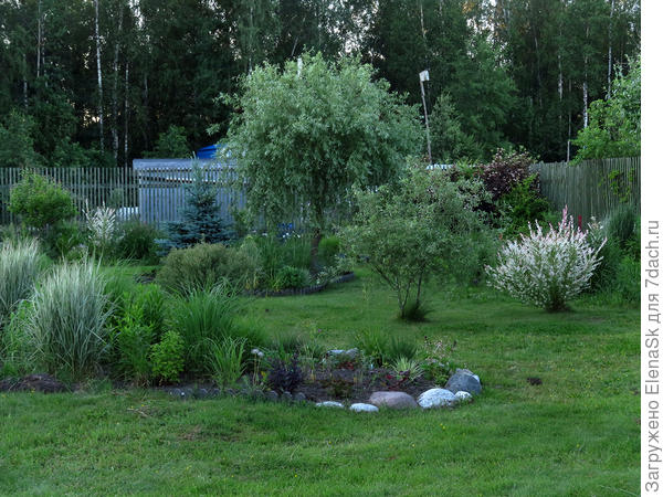 2019 год. Середина июня