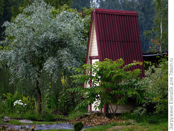 Середина лета