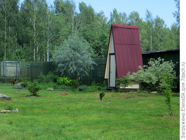 Начало июня