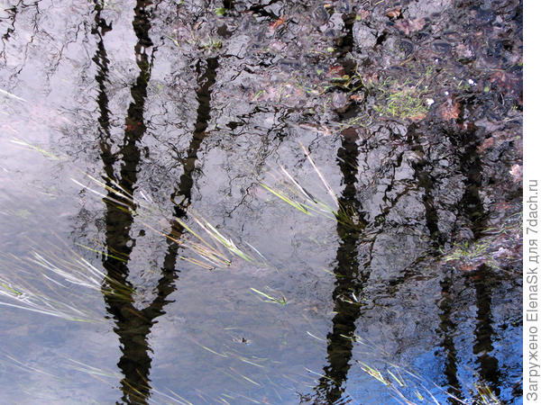 Тот же канал