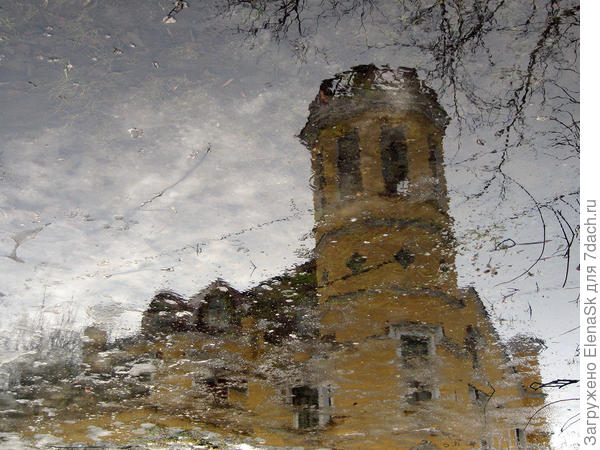 Отражение в луже (Петергоф)