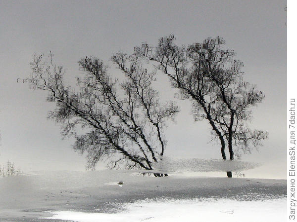 Отражение в пруду