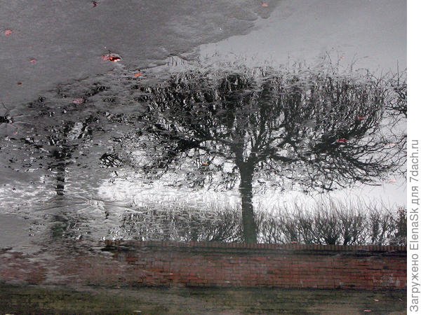 Отражение в секторальных прудах Марли (Петергоф)