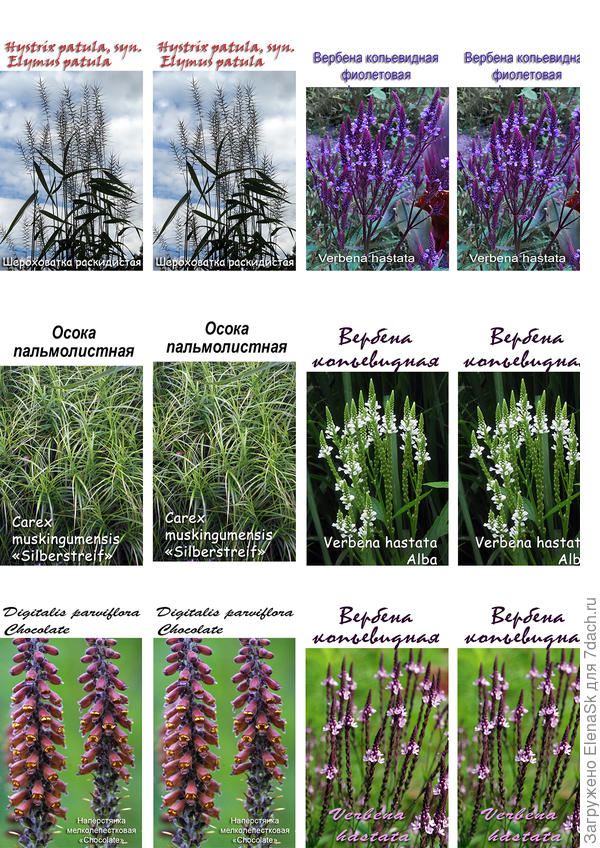 Так выглядит набранный лист этикеток