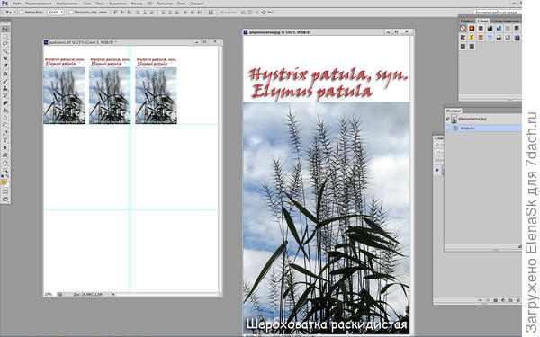 Курсором перетаскиваю этикетку на шаблон столько раз, сколько нужно