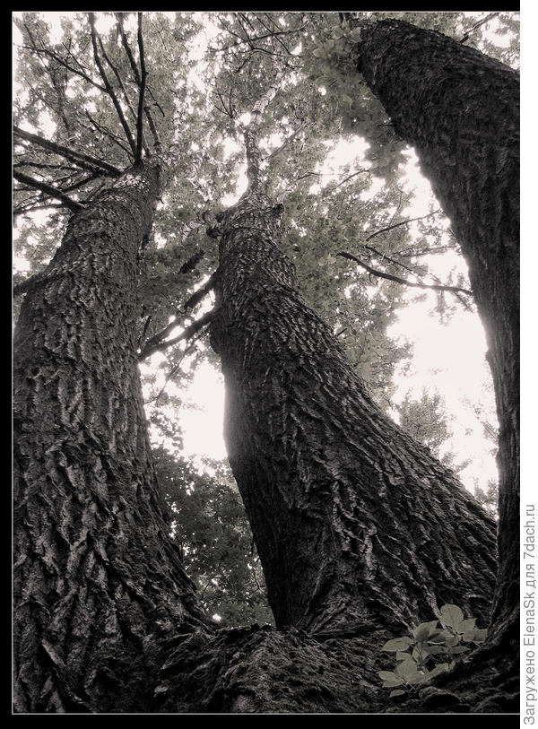 Фото Александра Малкина (С. Петербург)