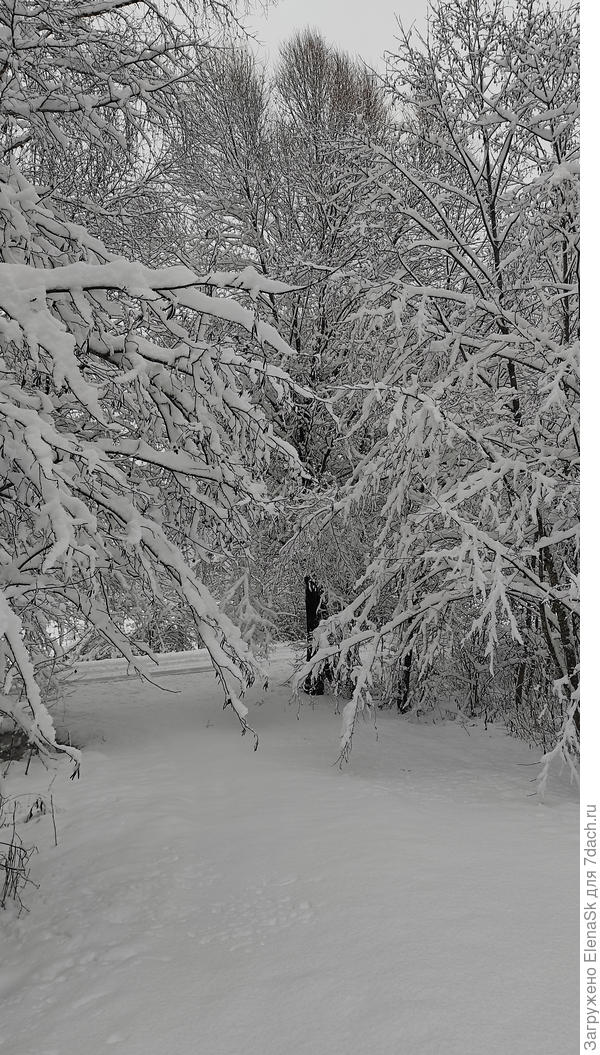 Анна 6-е фото