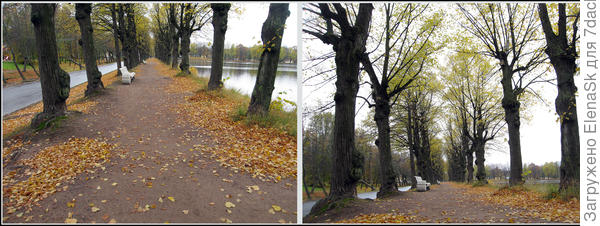 Слева с роста человека, камера чуть опущена, справа - присев, объектив направлен чуть вверх