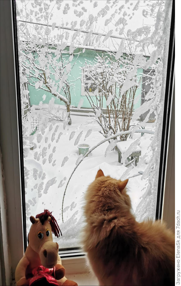 Фото 6. В такой шубке можно и погулять в любой мороз.