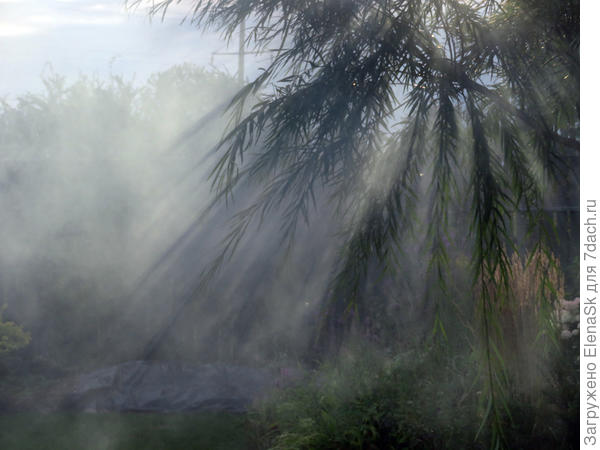 Эта одноствольная Шверина - она тоже просто упала. Я ее называла пальмой.