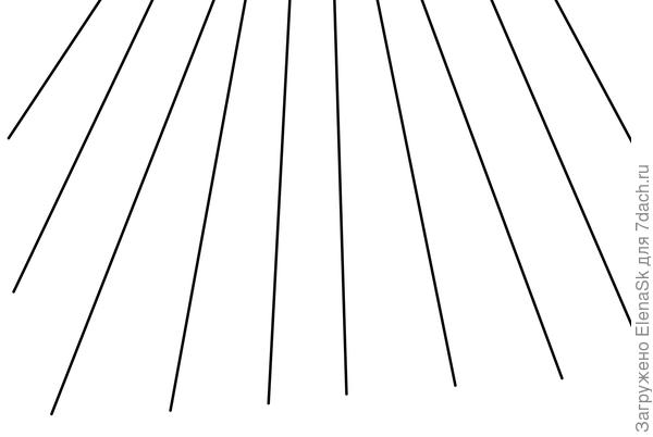 Линии стволов на фото.