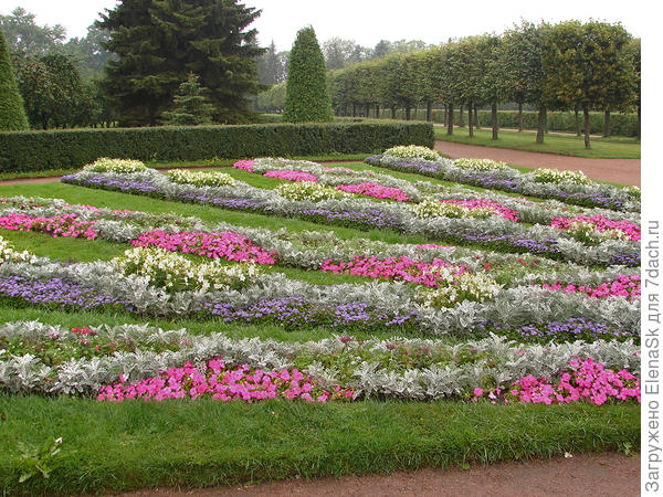 Фото 04. Вот тот цветник, который мы снимали тогда, вазон - он левее, здесь не виден.