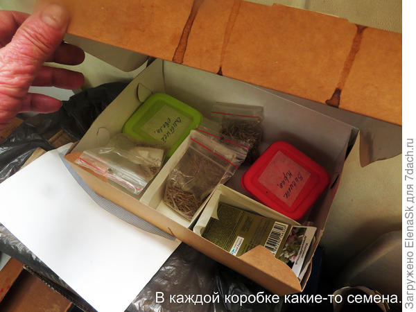 В каждой коробке - семена...