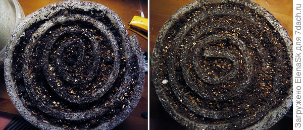 Левая улитка какая-то "хилая получилась...