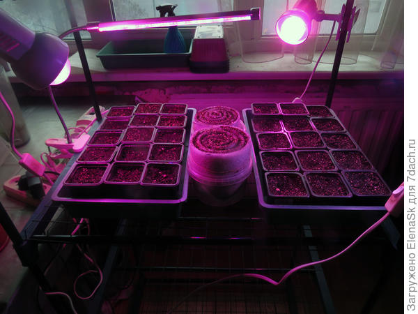 Посмотрела на фото - пошла лампу правую переднюю поправила. Глазом не видно было освещенность, а на фото - сразу увидела