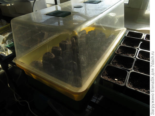 Крышки от череночников - точно подходят к кювете для таблеток.