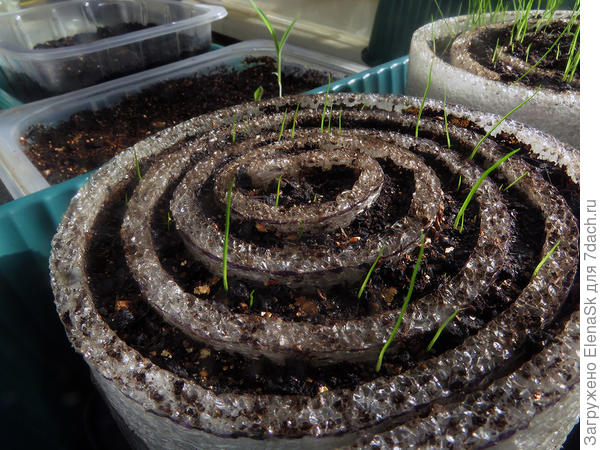 А это появились во второй