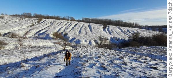 Местность за огородом, овраг.