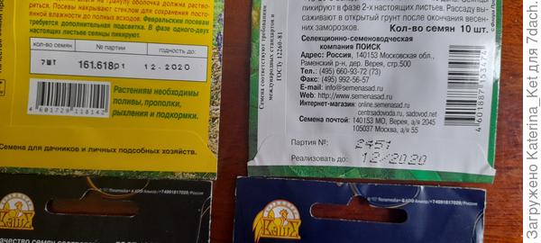 Годность петуньи