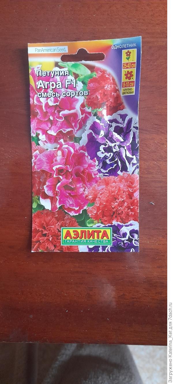 Подарочная петуния