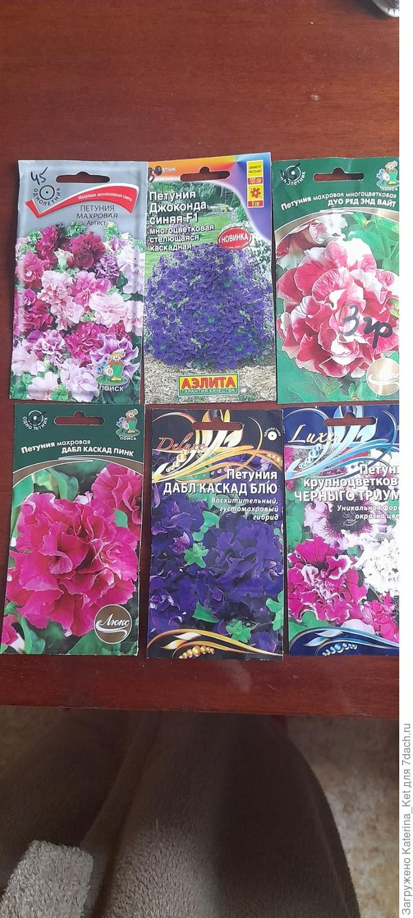 Старые семена