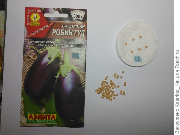 Баклажан