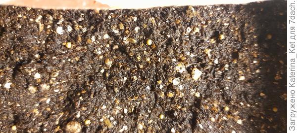 Как лежали, так лежат