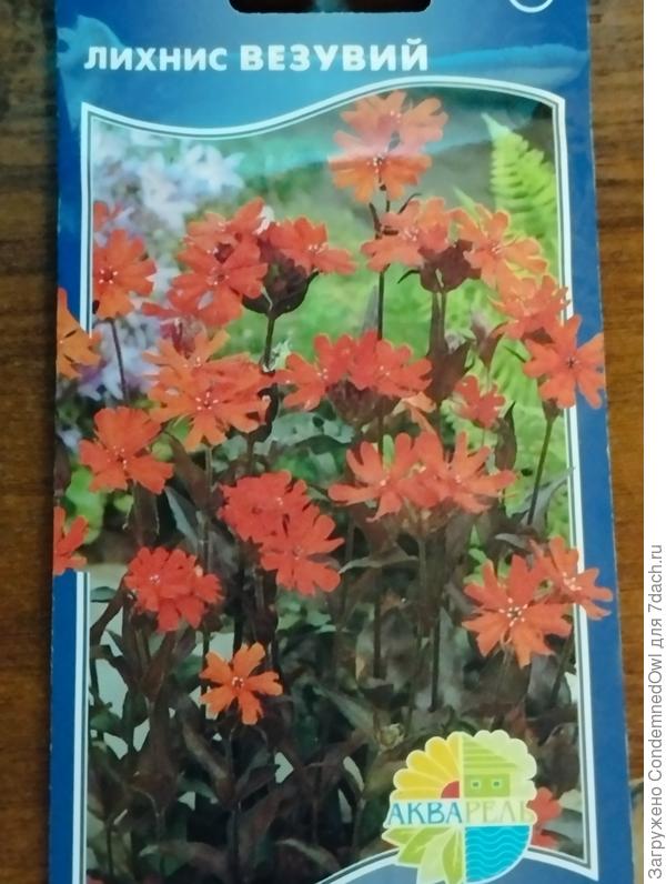 Сама упаковка семян, внутри 3 пачки с кучей семян.