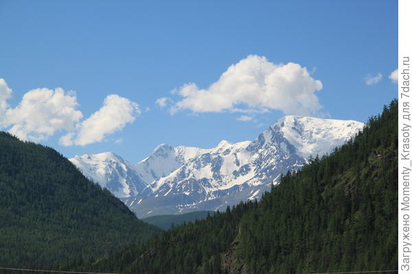 Вид на вершины Северо-Чуйского хребта с Чуйского тракта, июнь