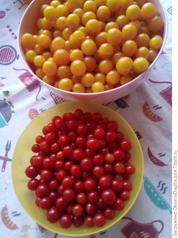 Ожерелье жёлтое и красное