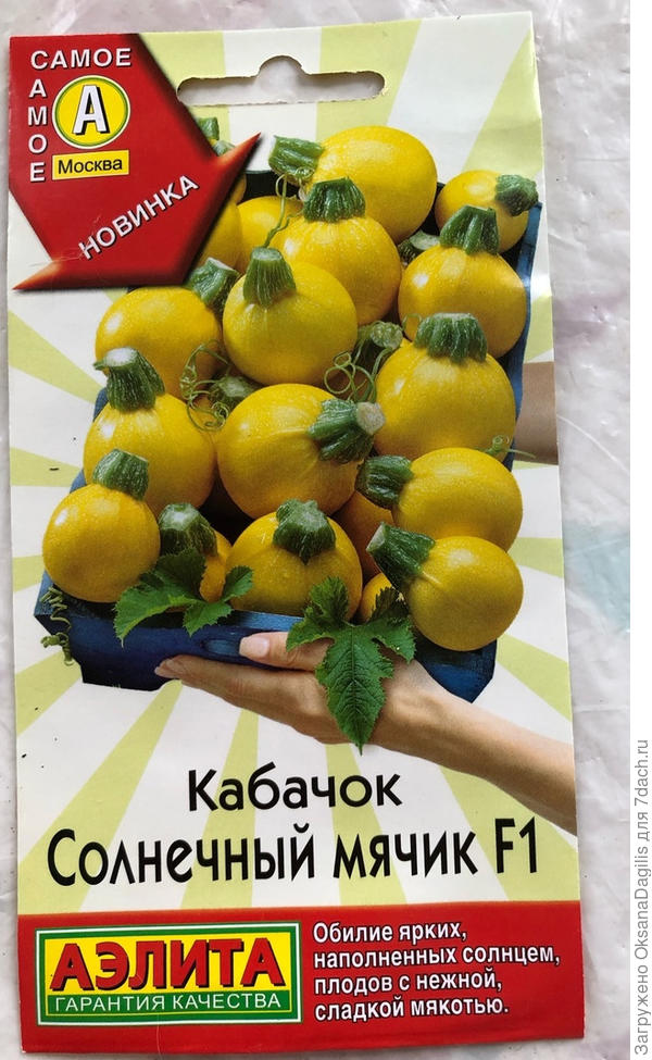 Кабачок