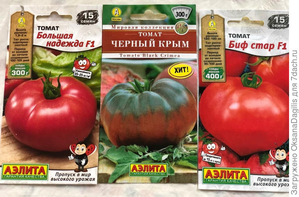Томаты