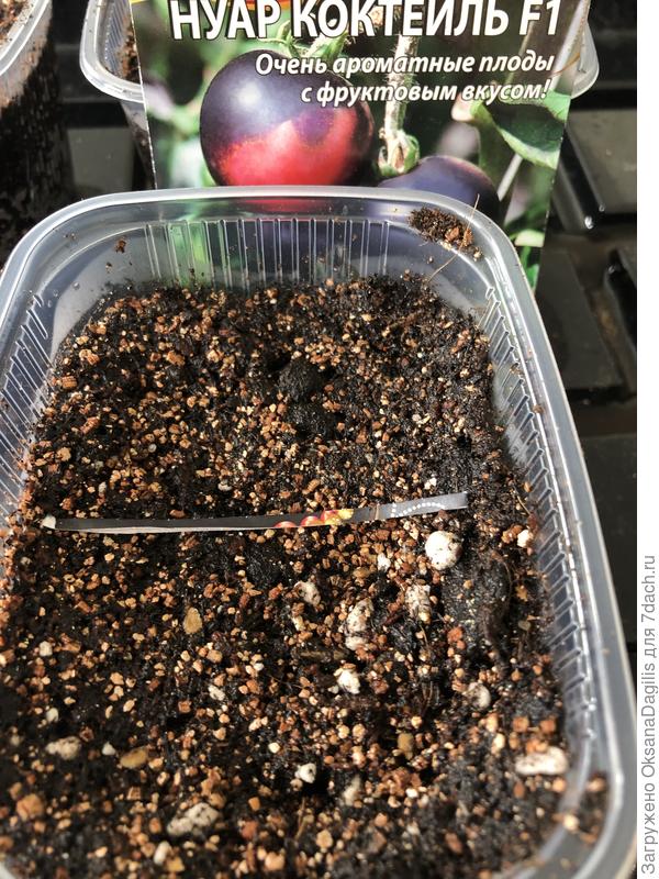 Посев в общие емкости