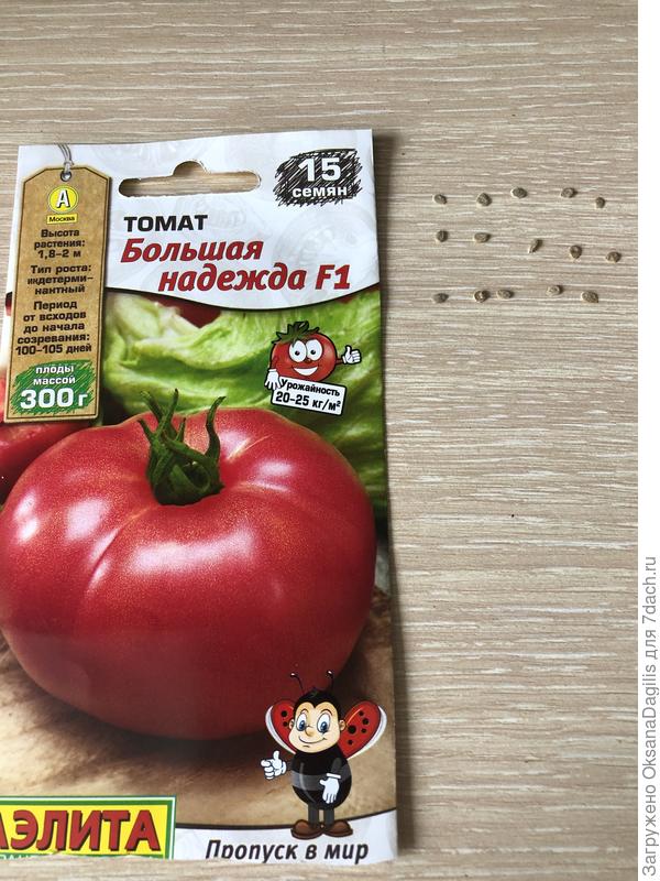 Количество семян Большая надежда