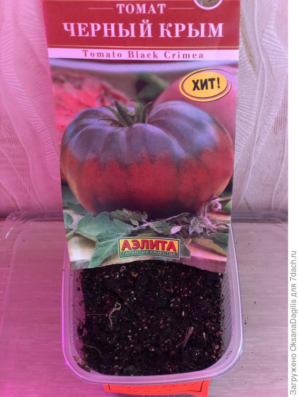 всходы Чёрного Крыма