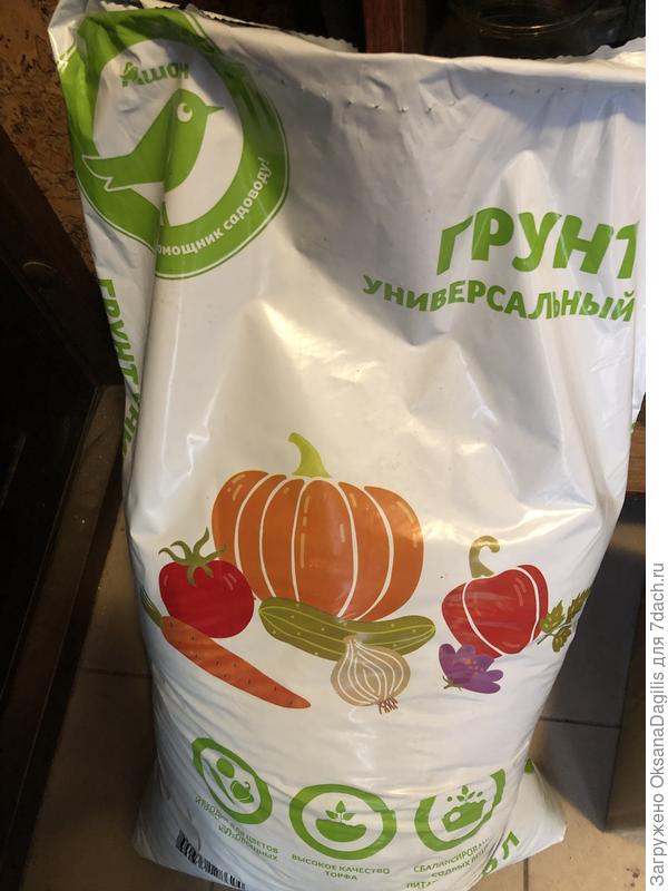 Грунт для рассады кабачков