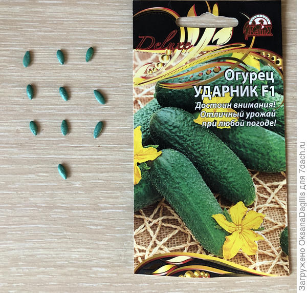 Подсчитываем семена в пачке Ударника