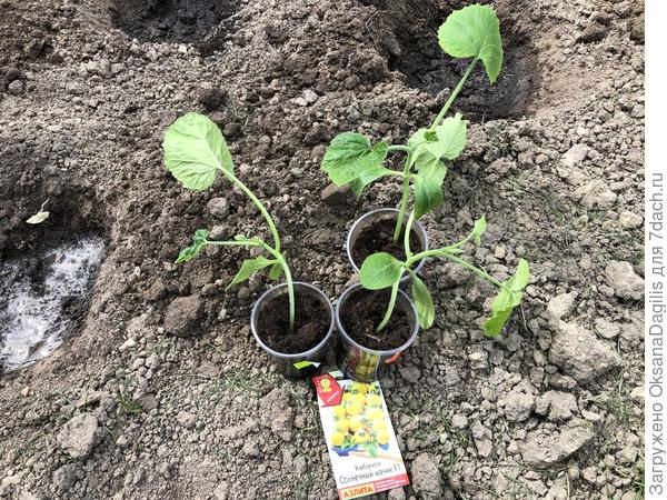 Готовимся к высадке в ОГ