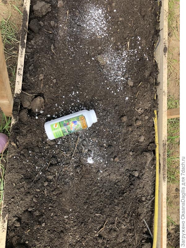 Добавляю бактерии Атлант