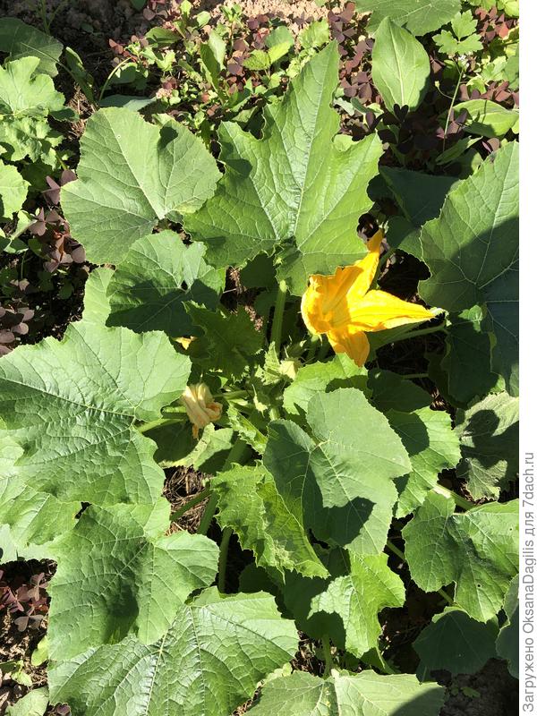 Наконец-то тепло