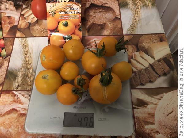 Еще Миловичка