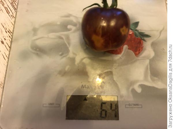 Первый плод Нуар коктейля