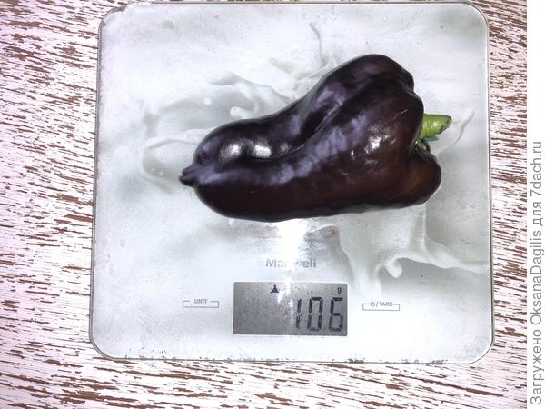 Взвешиваем Чёрный бриллиант