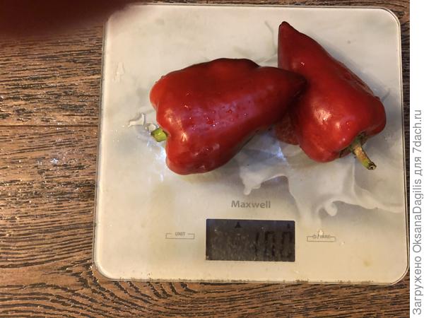 Чёрный бриллиант полностью собран 15 сентября