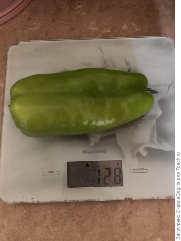 Вес первого перца