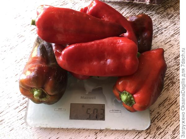 Самый большой урожай Чёрного бриллианта