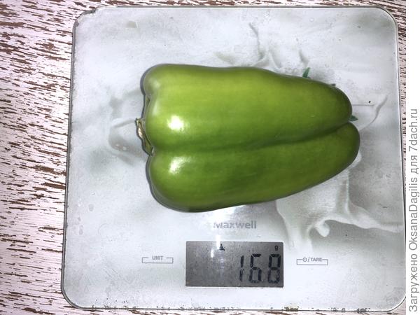 Взвешиваем Медовый